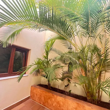 Tinajas Penthouse Views * Corralejo
